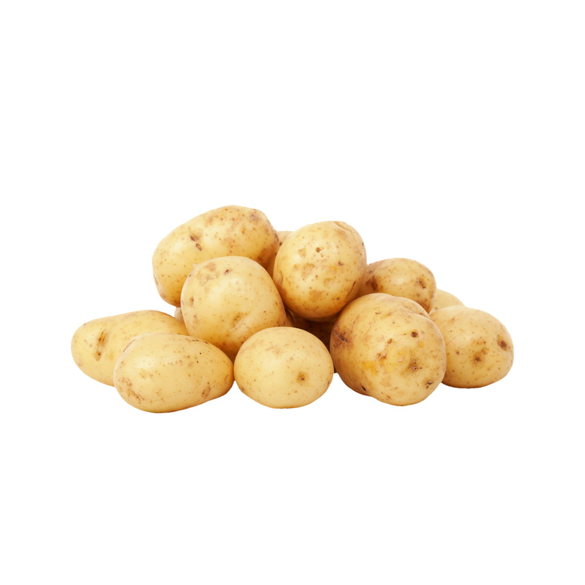 ZENXIN Organic Potato