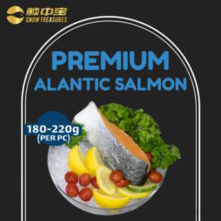 Snow Treasures Premium Salmon Fillet