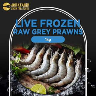 Snow Treasures Premium Live Frozen Raw Grey Prawn