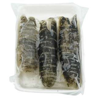 Mr Joy's Sea Cucumber Sandfish