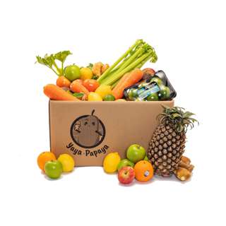 YayaPapaya Juicing Box YayaPapaya Juicing Box