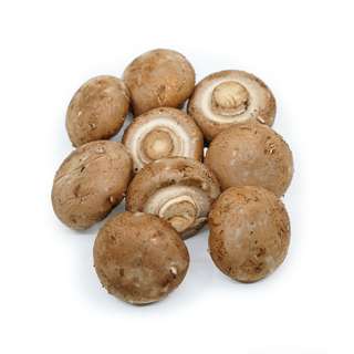 Swiss Brown Mushroom