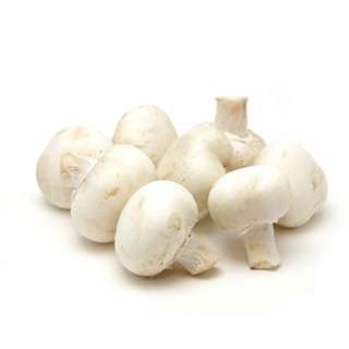 White Button Mushroom