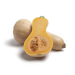 Butternut Pumpkin