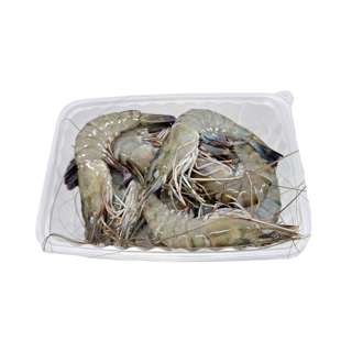 Pan Royal Fresh Tiger Prawn