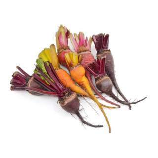 Baby Mixed Beetroot