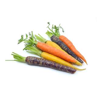 Baby Mixed Carrots Baby Mixed Carrots
