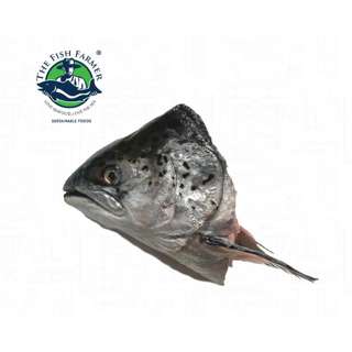The Fish Farmer Frozen Norwegian Salmon Head The Fish Farmer Frozen Norwegian Salmon Head