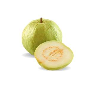 SLH Thai Seedless Guava