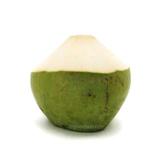 ZENXIN Organic Coconut ZENXIN Organic Coconut
