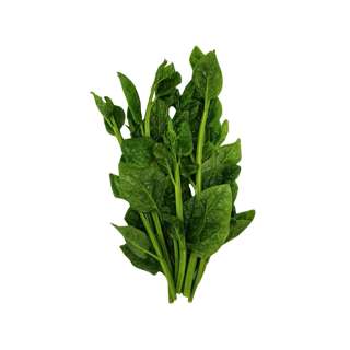 ZENXIN Organic New Zealand Spinach