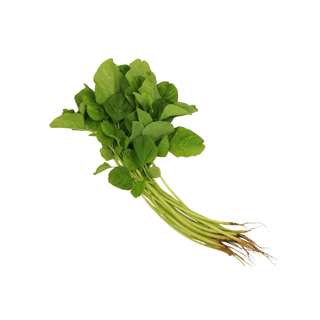 ZENXIN Organic Green Bayam/ Spinach