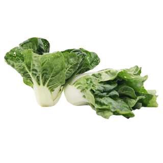 ZENXIN Organic Nai Pak