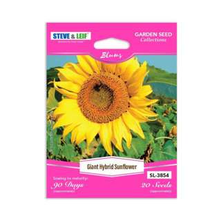 Steve & Leif Giant Hybrid Sunflower Seeds