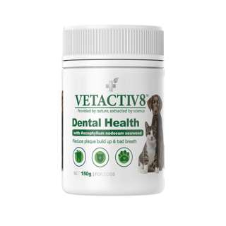 Vetactiv8 Dental Health For Dogs