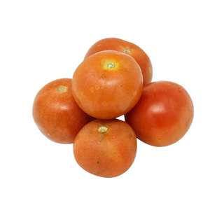 ZENXIN Organic Round Tomato