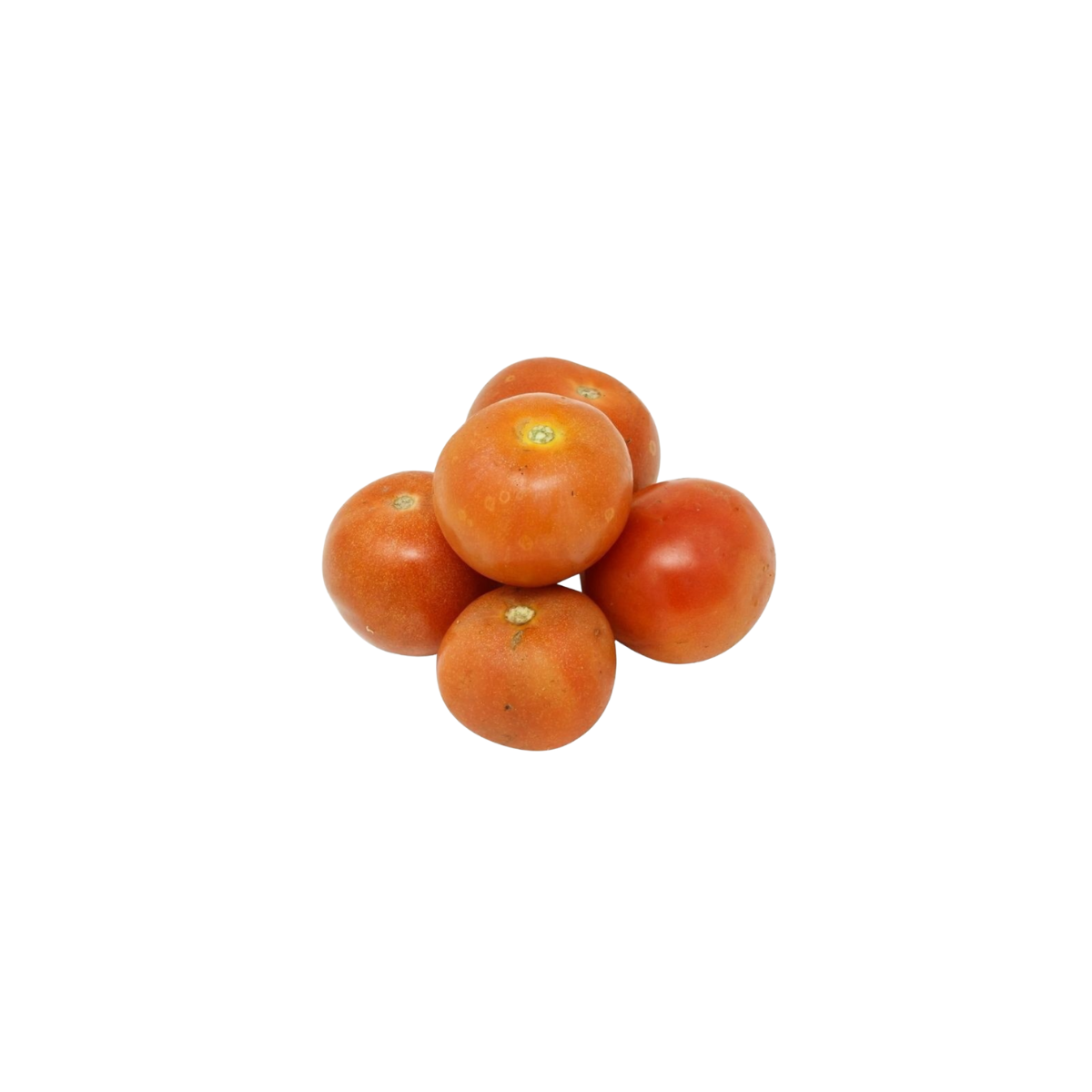 ZENXIN Organic Round Tomato