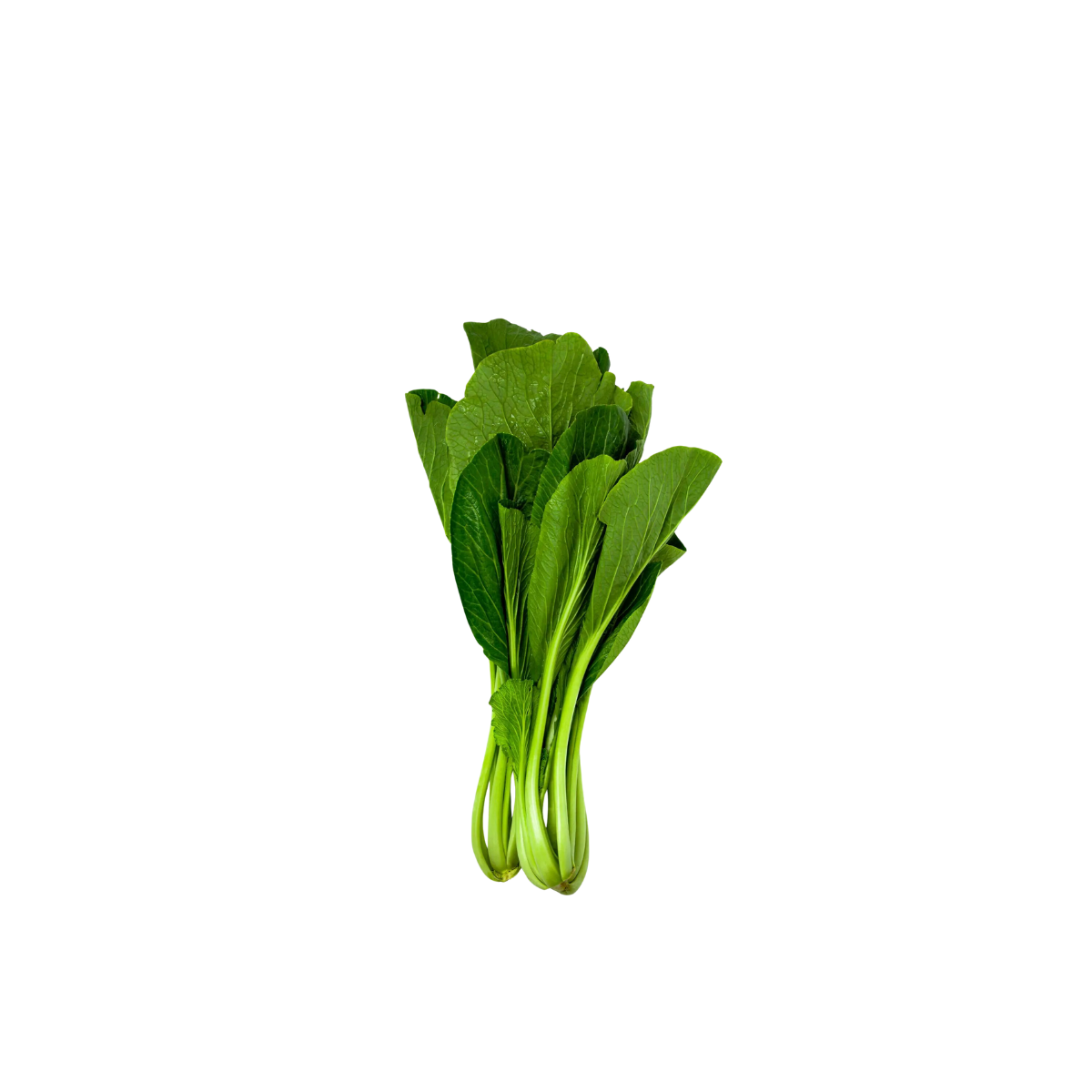 ZENXIN Organic Japanese Sweet Choy Sum