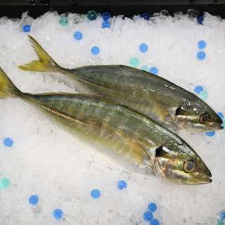 Aw's Market Fresh Selar Fish