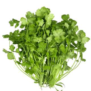 Vegeponics Pesticide-Free Coriander (SG Local)