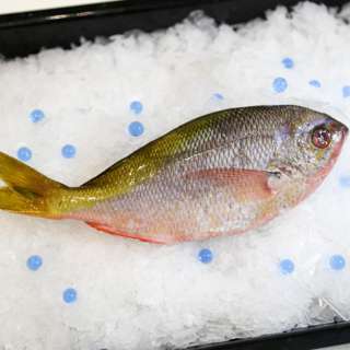 Aw's Market Fresh Yellow Tail