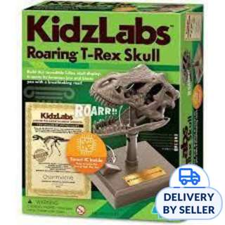 4M Roaring Trex Skull