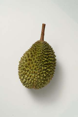 Fairy Port Liquid-Nitrogen Frozen Musang King Whole Durian