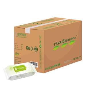 Absorba [Carton] Adult Wet Wipes