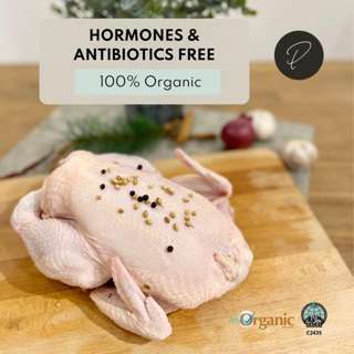 Punched Foods Organic Whole Chicken