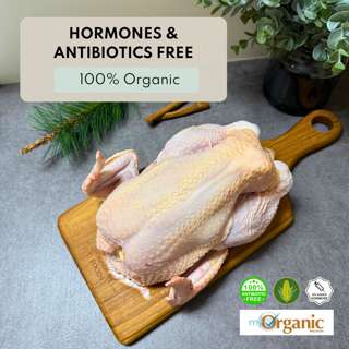 Punched Foods Organic Whole Chicken