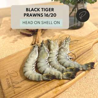 Punched Foods Black Tiger Prawns 16/20 HOSO 500G