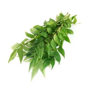 Orgo Fresh Curry Leaf (Curry leaves)