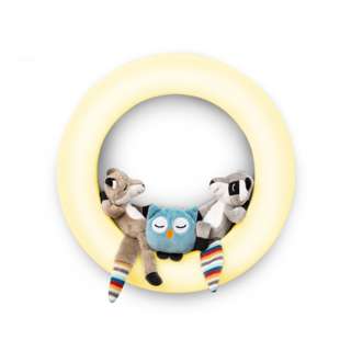 Zazu Wall Light with Auto Shut Off (Fay, Rex & Otis)