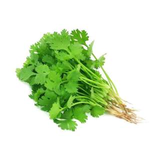 Orgo Fresh Indian Fresh coriander leaves