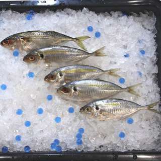Aw's Market Fresh Kunning Fish (Yellow Scad)