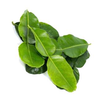 Orgo Fresh Lemon Leaf (Kaffir Lime Leaves)