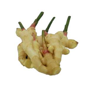 Orgo Fresh Malaysian Young Ginger (Spring Ginger)