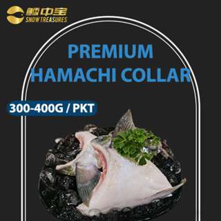Snow Treasures Premium Hamachi Collar