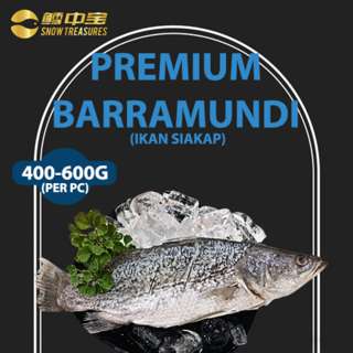 Snow Treasures Premium Barramundi Whole (Seabass) Snow Treasures Premium Barramundi Whole (Seabass)