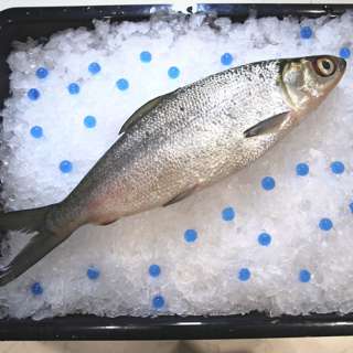 Aw's Market Fresh Milk Fish