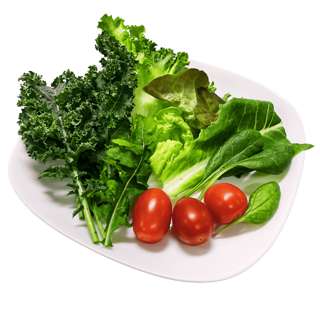Vegeponics Mesclun Salad