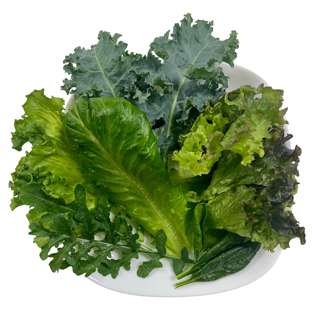 Vegeponics Mesclun Salad