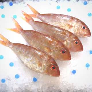 Aw's Market Fresh Baby White Snapper (Ang Go Li Kia)
