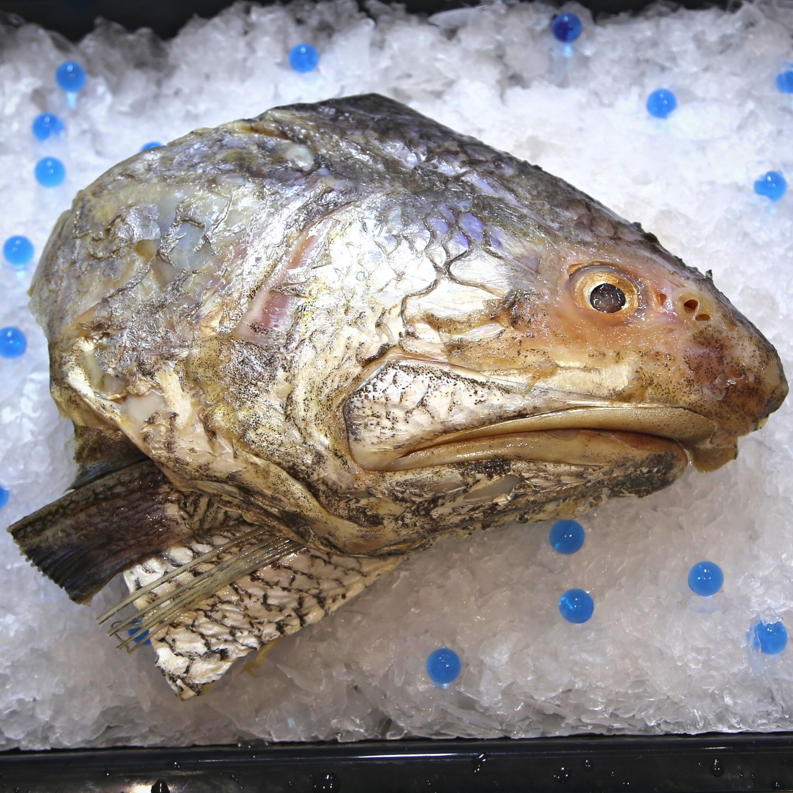 Aw's Market Fresh Balai Threadfin Head (Half)