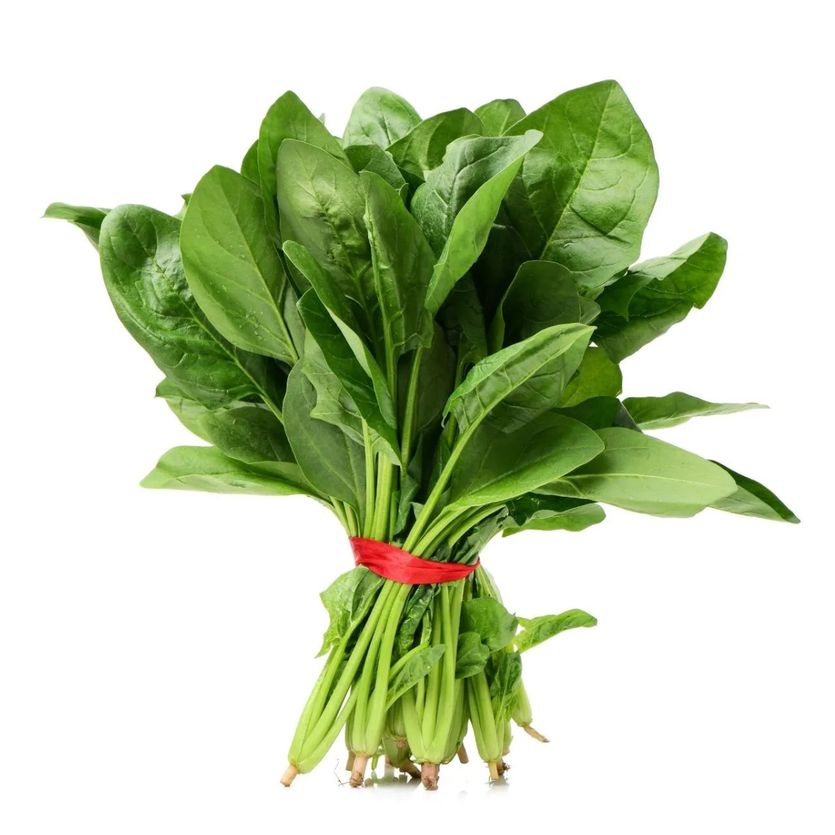 Vegeponics Pesticide-Free Spinach (SG Local)