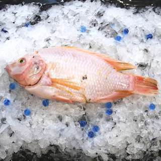 Aw's Market Fresh Red Tilapia Fish