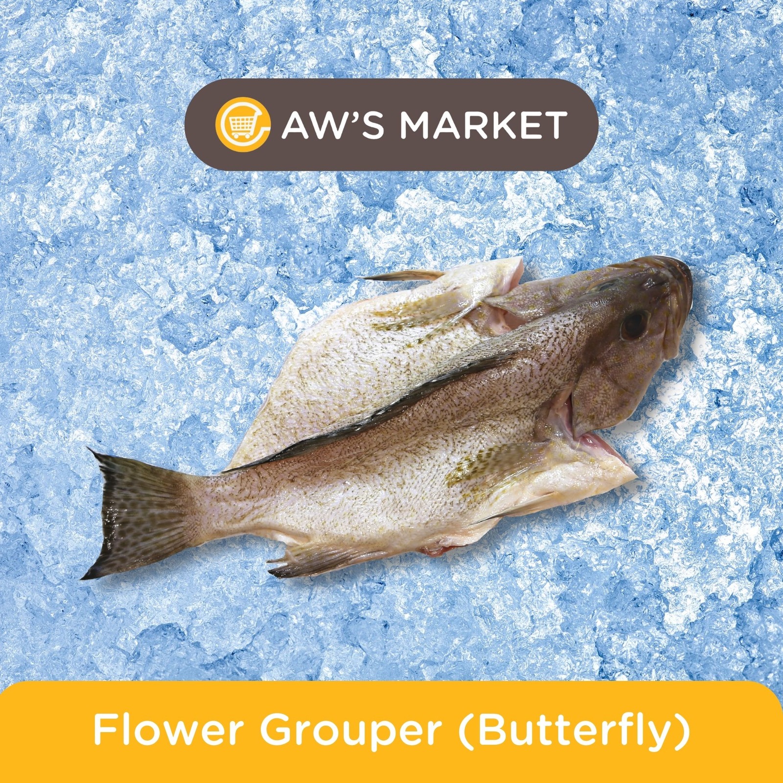 Aw's Market Fresh Flower Grouper (Butterfly)