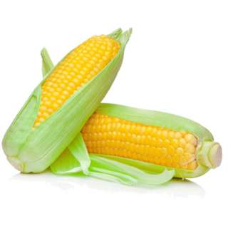 Orgo Fresh Royal Yellow Sweet Corn