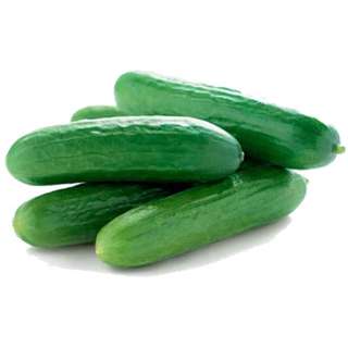Orgo Fresh Mini Japanese Cucumber
