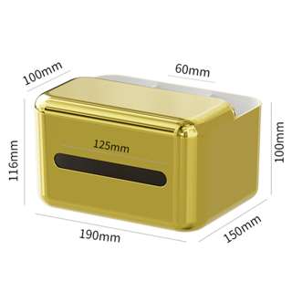 Sweet Home Minimalist Tissue Storage Box-Golden